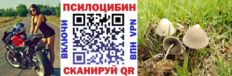 Псилоцибиновые грибы прущие грибы Новосокольники