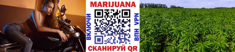 Канабис SATIVA & INDICA  Купить  Новосокольники 